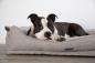 Preview: Orthopädisches Hundebett Nobby Calbu - Memory Foam, Bezug abnehmbar + waschbar